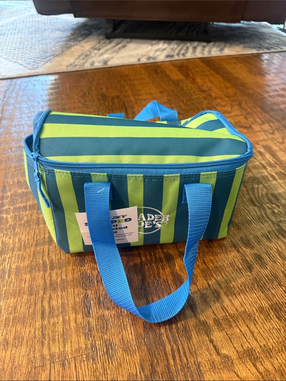 Trader Joe's Striped Cooler Bag in Blue and Lime Green